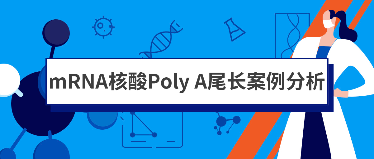 技术共探丨「新晋顶流」mRNA技术和它的Poly A尾长案例分析